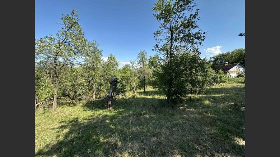 Vânzare teren Reșița: 17260 mp, Calea Caransebeșului - 3