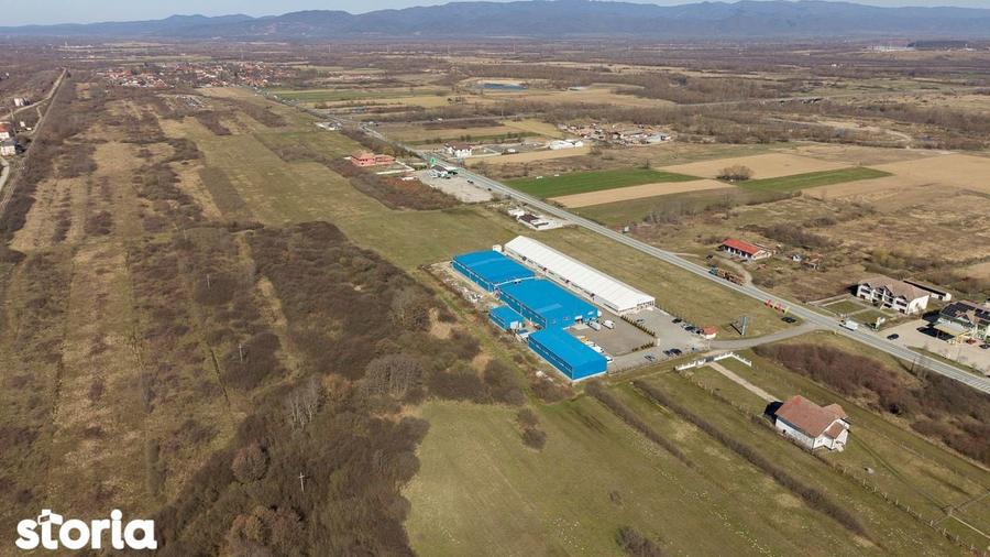 Teren extravilan de 7.000 mp langa Paltini? - 4