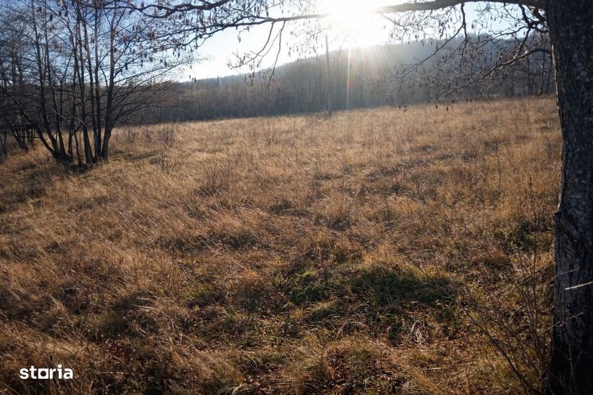 Teren extravilan | Vicovu de Jos | Pret 25.000 - 3