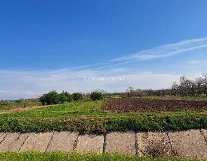 Teren extravilan, loc Obarsia, Jud Olt Teren extravilan, loc Obarsia, Jud Olt