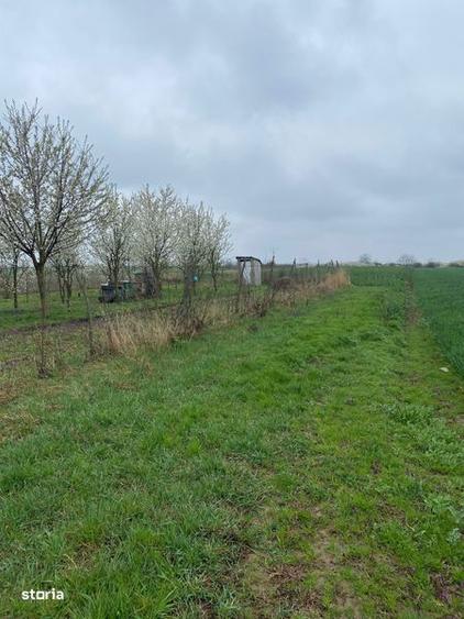Vanzare teren intravilan Lazuri - 5
