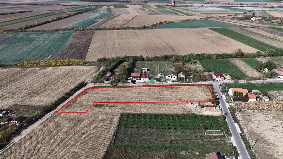 RECO Teren Cheresig 20 km de Oradea - 4