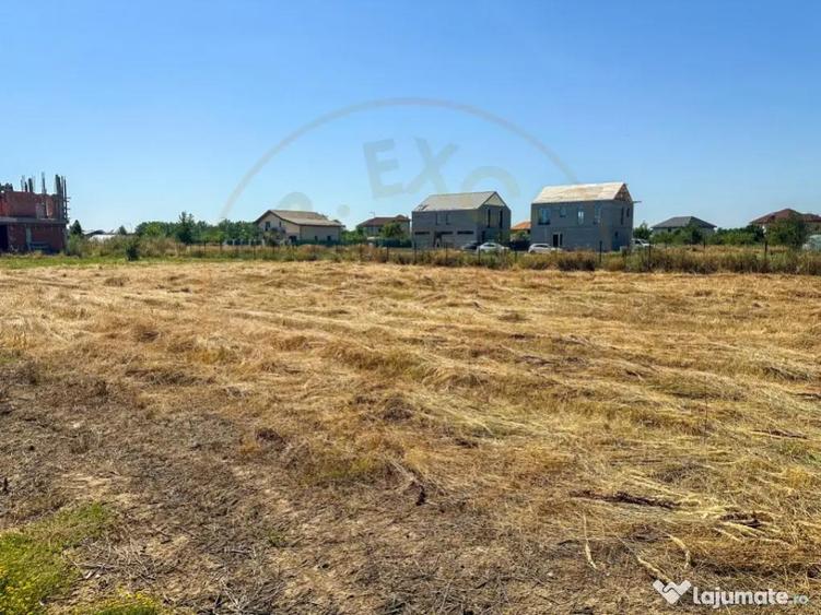 Teren 1116 mp gulia Eden Forest - 3