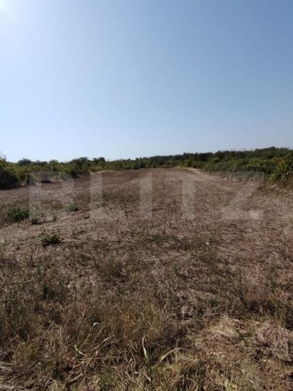 Teren intravilan, 2104 mp, zona Carcea Profi, deschidere 13.85m, 2 fronturi, P+2 - 2