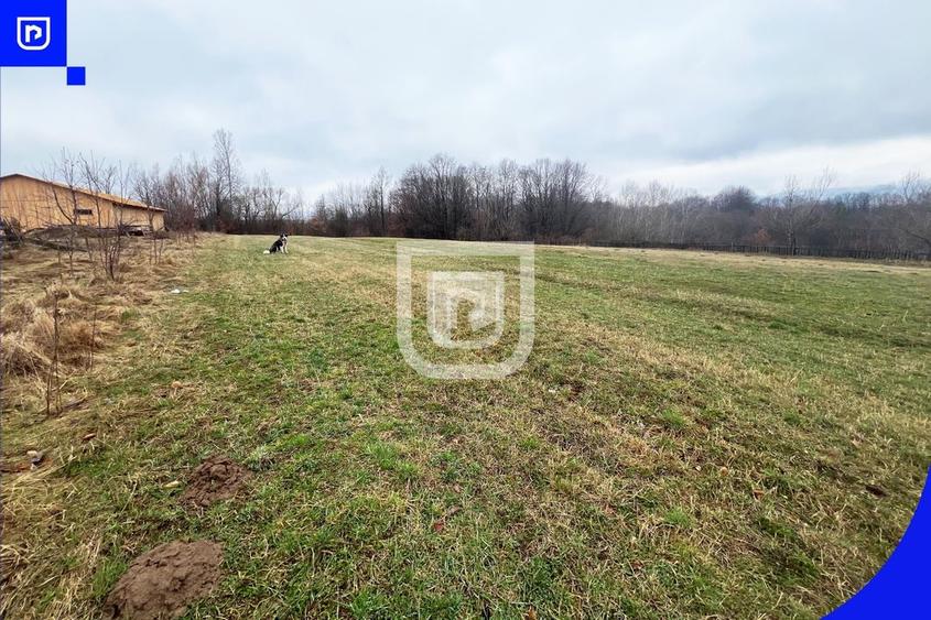 Casa traditionala la tara cu livada | Poieni-Solca - 21