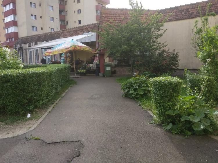 Spatiu Comercial 100 mp Triaj - 6