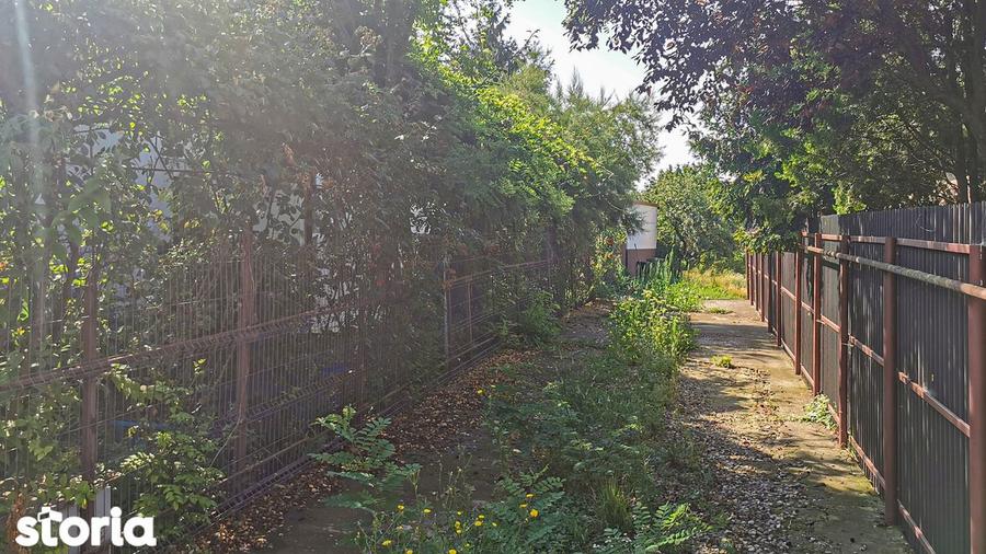 Casa P+1, curte 800 mp in Corbeanca, la sosea - 16