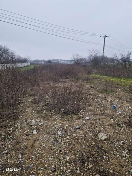 Teren de vanzare Malu Mare 1.250 mp intravilan - 3