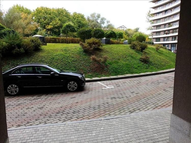 Birouri de inchiriat in zona parcului - 4