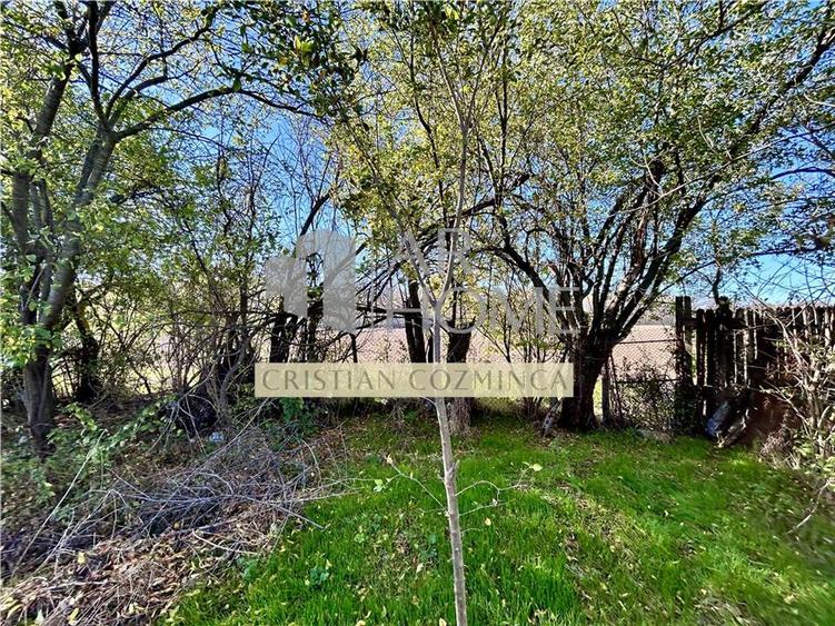 Casa 4 camere, 141 MP + Anexa 39 MP, pe DN1 - 29