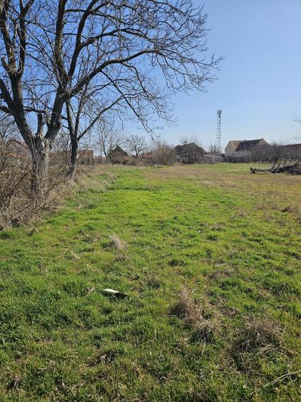 Vand casa nelocuibila cu teren 2877 mp comlosul mare - 4