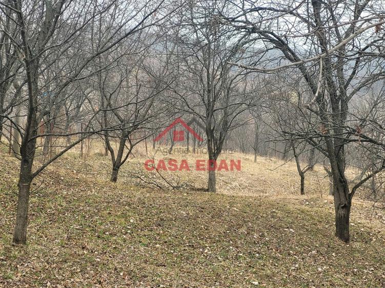 Teren intravilan in Breaza,1358 mp, 40.000e - 3