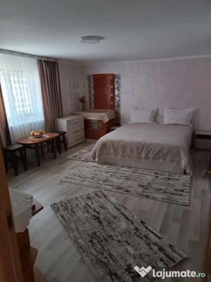 Casa individuala, teren 5200mp, oportunitate de investitie, - 3