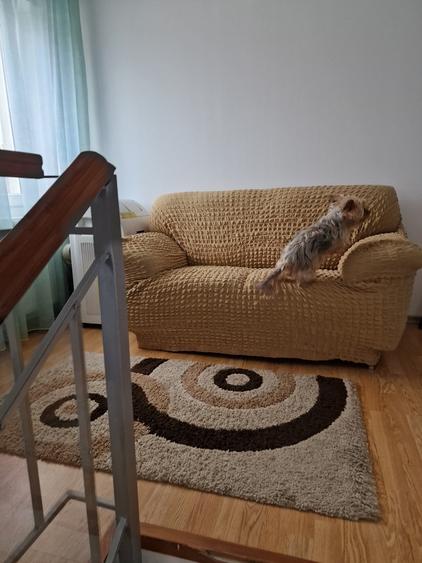 Aghiresu Fabrici, jud. Cluj - 4