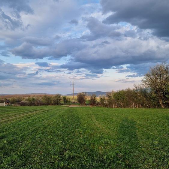 De vanzare teren extravilan - 4