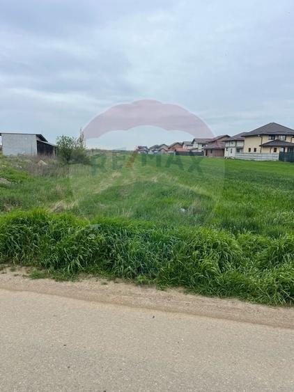 Teren intravilan de 3.168 mp, Cosoba, Giurgiu - 1