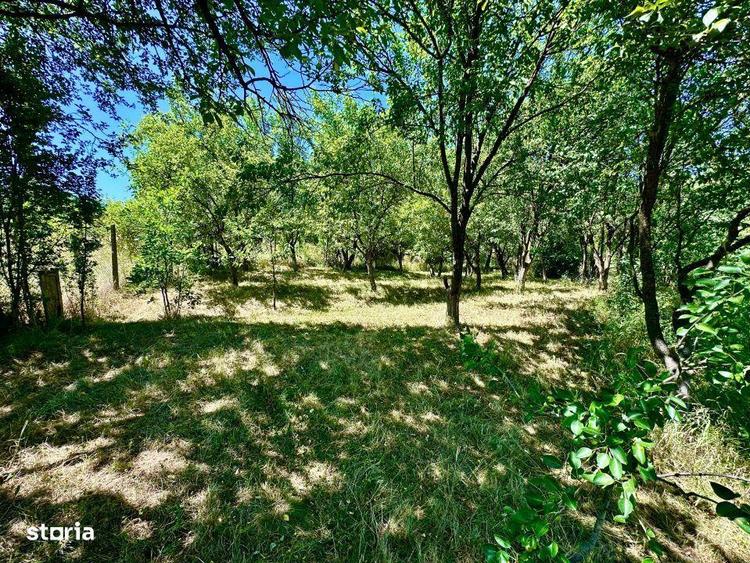 Casa 4 dormitoare, 240 mp | Dealul Florilor | Exclusiv ImobilArt - 1