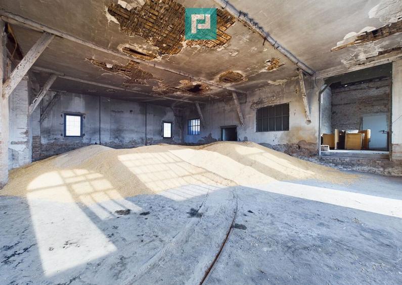 Teren ?i hale pe Calea Aradului din Periam - 5