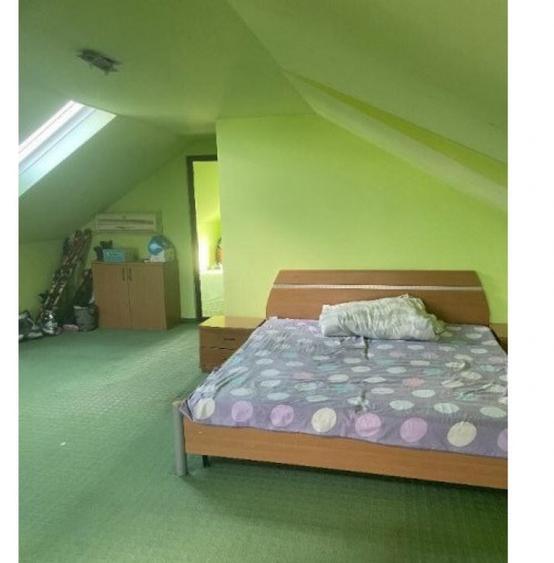 Inchiriere Vila P+1+M in Jilava - 5