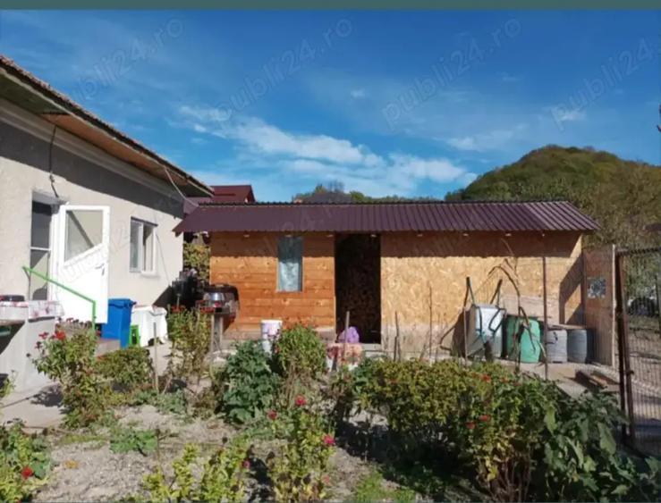 Casa Pausesti Madlasi - 5