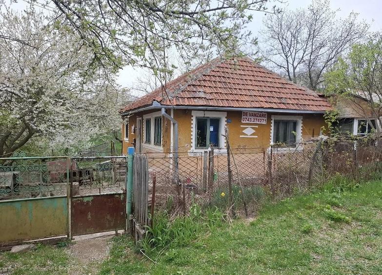 Casă cu 4 camere cu Teren 35000 Mp în Nadanova