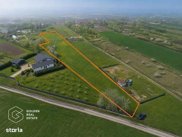 Teren intravilan Sanpaul, 2600 mp, posibilitate de parcelare - 7