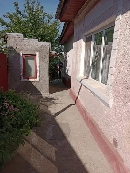 Casa de vanzare 3 camere - 3