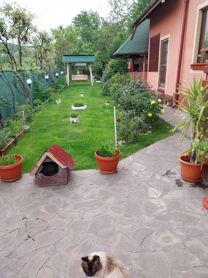 Proprietar vand vila la munte - 1