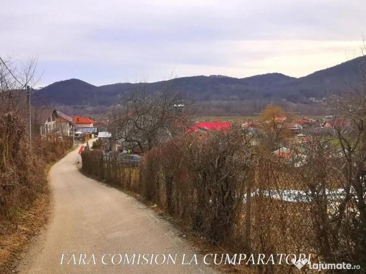 VLADESTI - LOT TEREN BINE AMPLASAT - 5