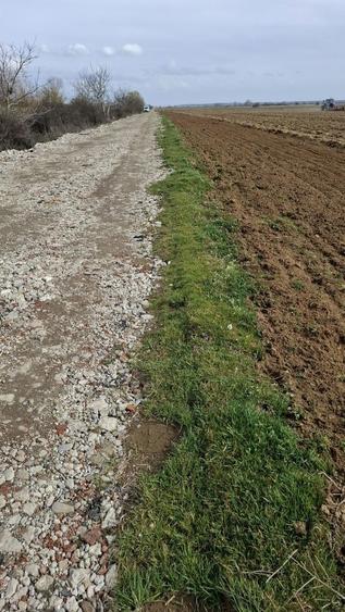 Teren Giroc industrial - 1