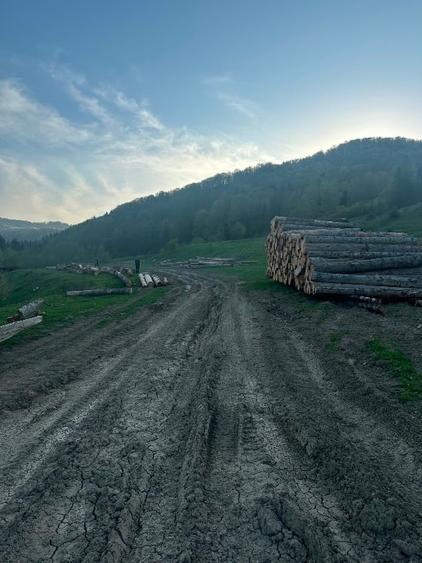 Teren intravilan în Marginea - 8