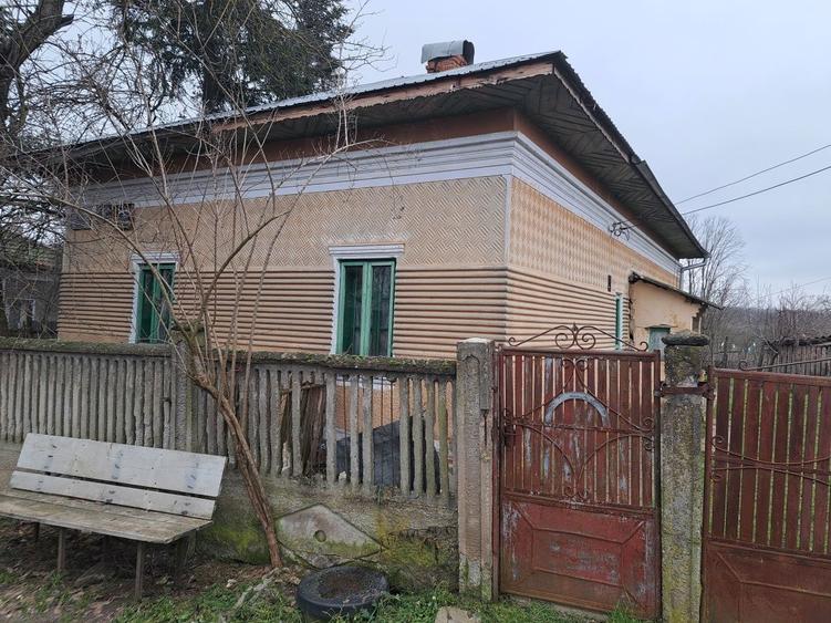 Vand casa cu 2500 metrii patrati de curte plus dependente - 7