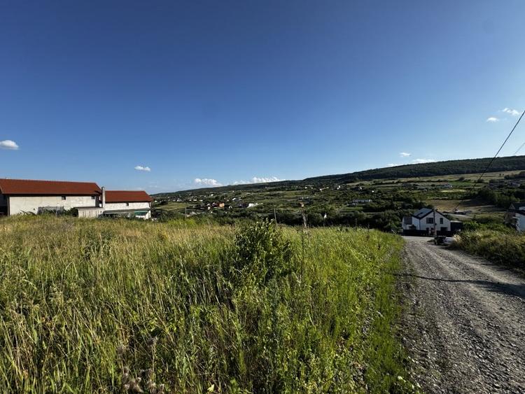 Teren in Chinteni, Muntii Oasului, 1000 mp, front de 36 ml - 6