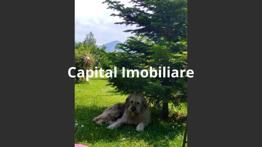 Casă de vânzare, 180 mp, Valea Dejani Casă de vânzare, 180 mp, Valea Dejani