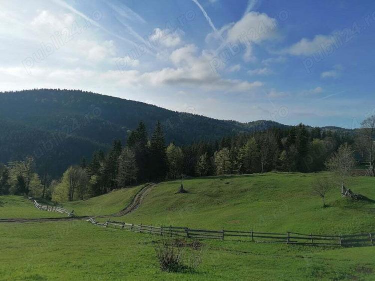 Inima Transilvaniei - 3