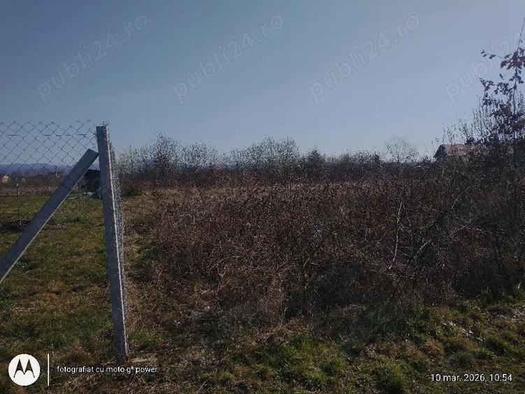 Lapusel zona de case noi,9 ari ari intravilan - 3