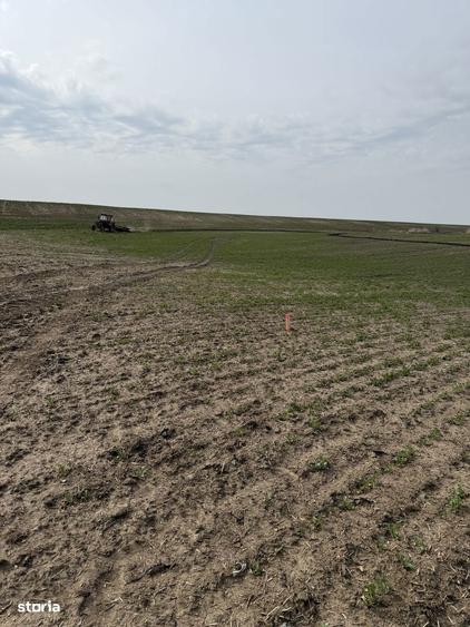 Teren arabil Vasilati - 1