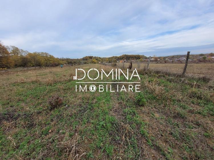 Vanzare teren intravilan, 4967  mp, utilitati, sat Rasova, Balesti - 3