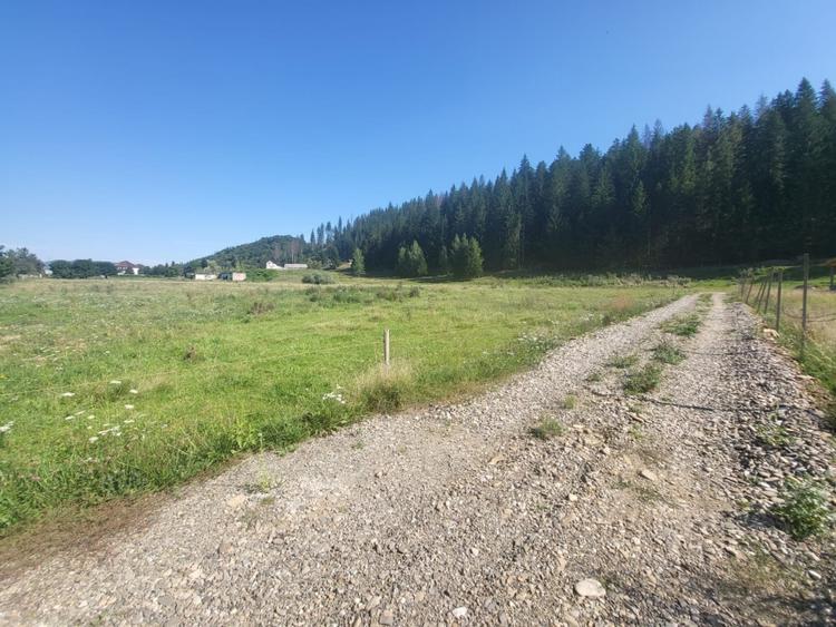 Teren, Ideal pentru Investitie Sau Dezvoltare - 5