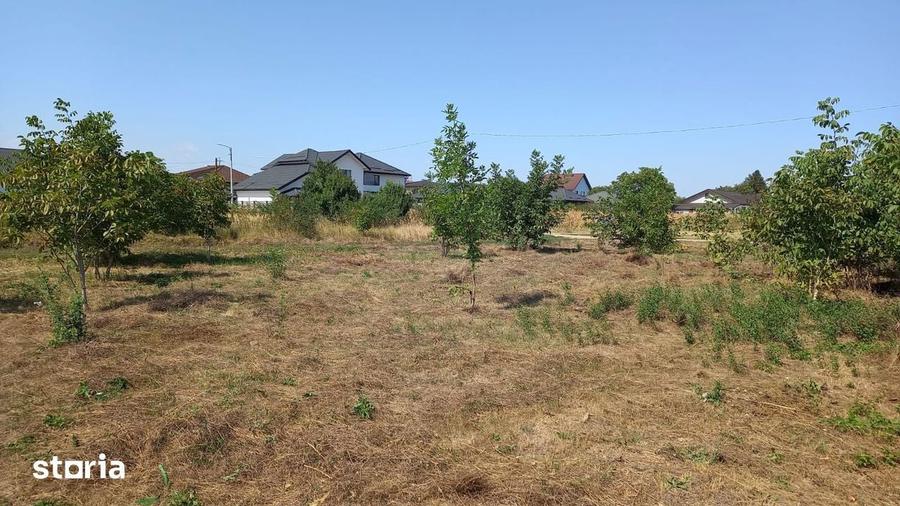 Teren intravilan Buftea - Crevedia - Manastirea, 582mp, 0%comision - 11