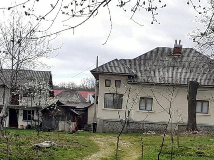 Casa de vanzare Domnesti Arges - 2