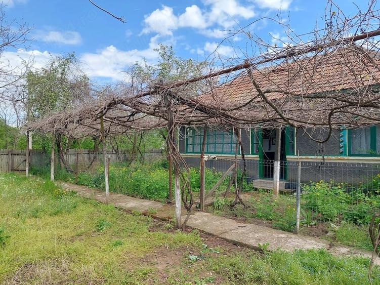 Casa cu teren 1280mp in Merii Petchii, Ilfov- oaza de liniste! - 7