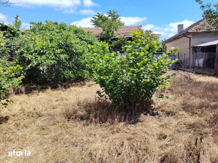 PROPRIETATE MARE IN COMUNA LEU, DOLJ, 2023MP TEREN - 12