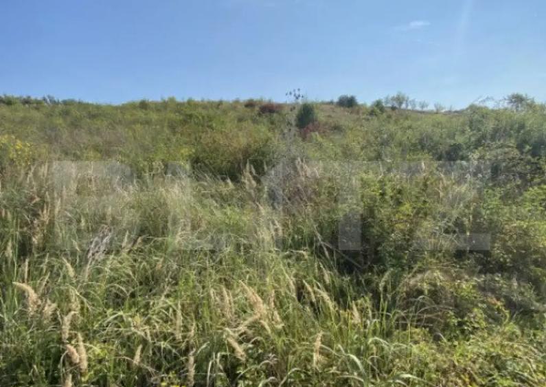 Teren intravilan/extravilan centura Zalau, 8200 mp - 5