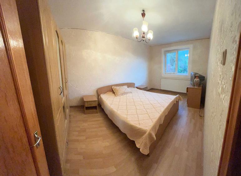 Casa de familie/vacanta + Spatii comerciale DE VANZARE - 1