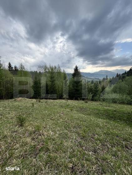 Teren extravilan, 2.8 ha, in zona ?andru, Campulung Moldovenesc - 2