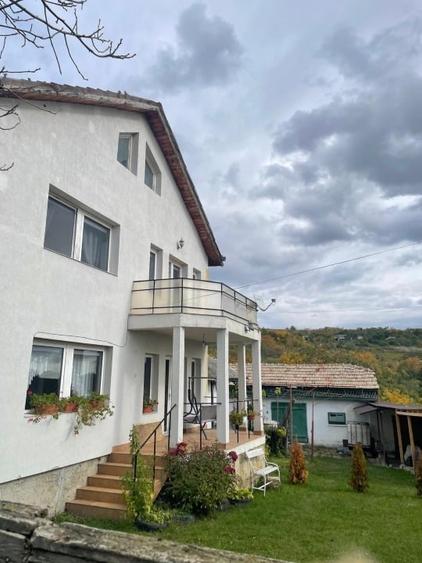Casa 216mp cu vie si livada, 2500 mp teren – Horodistea, comuna Cotnari, Iasi - 3