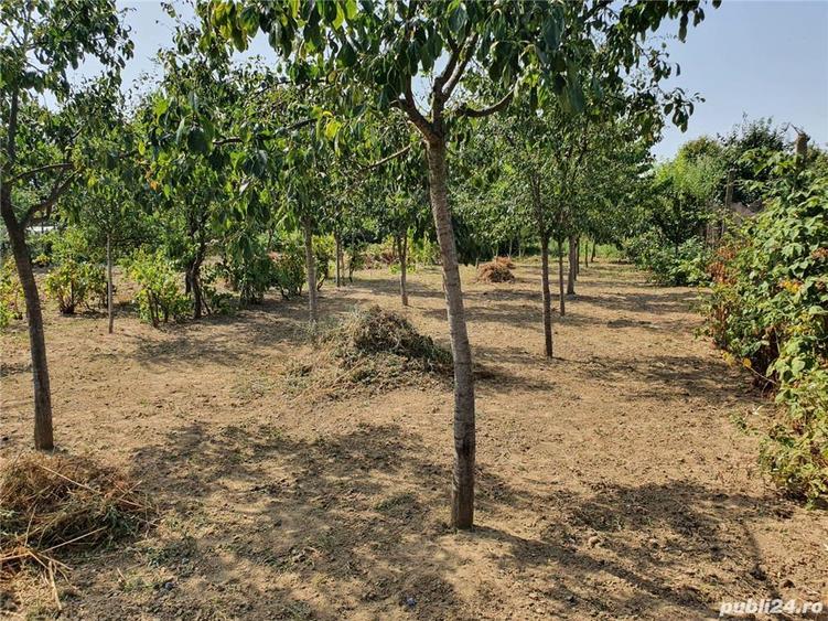 Proprietar vand casa in Lugoj - 1