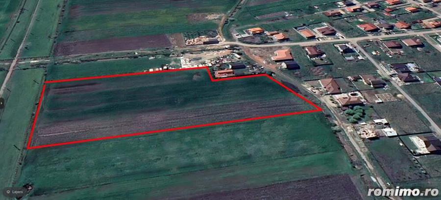 1,4 hectare teren de vanzare in Livada Arad - 2
