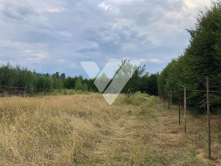 Teren Intravilan  – Valea Avrigului, 2000 mp - 2